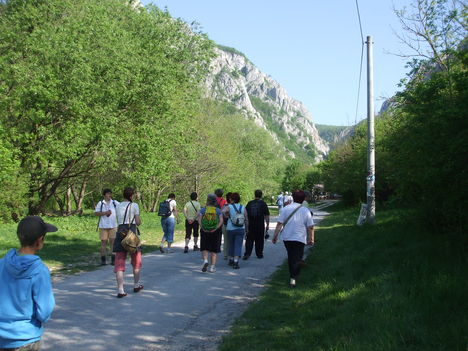 DSCF5176