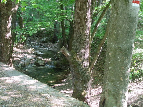 DSCF5179