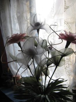harisnyavirág,meia de seda ,nylon flower 2