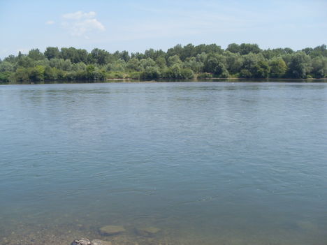 TISZA