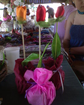 Tulipán 3 színben