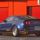 Shelby-001_1438629_4109_t
