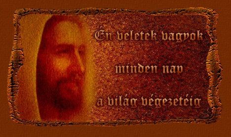 557639_10150641687725736_356965855735_9236672_155008790_n