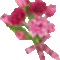 szálas virág 1