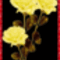 szálas virág 6