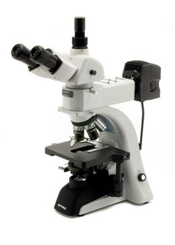 Sztereomikroszkóp 1