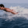 David_waterhoffgif_1441323_2634_t
