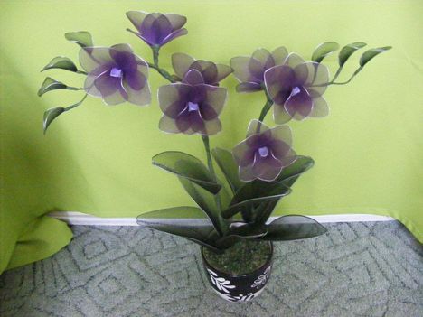 Lila orchideám :) 