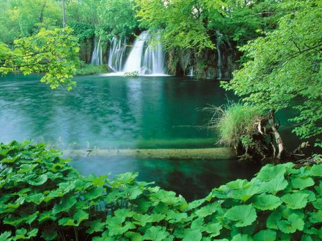 Plitvice_National_Park_Croatia