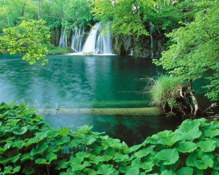Plitvicei tó-Croatia-257855