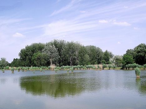 Bujtosi tó