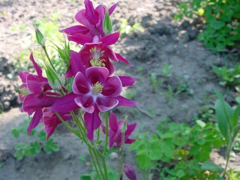 DSC02758
