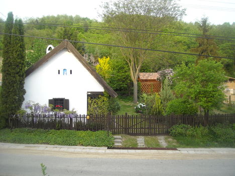 Tavaszi Sokoró 12