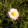 Tavaszi_sokoro_21_1442054_4014_t
