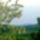 Tavaszi_sokoro_4-003_1442565_3399_t