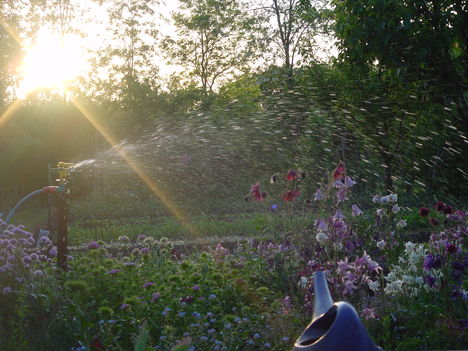 DSC02847