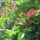 201205-009_1444681_2215_t