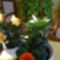 Citrom-és narancssárga Hibiszkusz.Háttérben a futó viaszvirág
