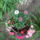 Felulrol_1444386_9572_t