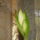 Itt_mar__1444398_5800_t