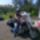 Orhidea_mama_016_1444649_8740_t