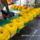 Sam_0508-001_1444844_7863_t