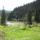 Szekelyfold_3-001_1444793_3226_t
