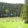 Szekelyfold_5-001_1444795_7585_t