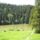 Szekelyfold_7-001_1444797_3473_t