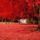 Legyen_szep_napod3_1445918_5795_t