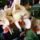 Lepke_orchidea_5-002_1445875_8995_t