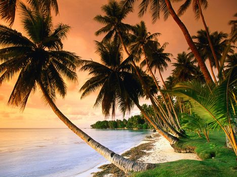 Beach Blue Lagoon Resort, Micronesia
