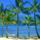 Beach_hammock_kauai_hawaii_1447207_3163_t
