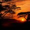 Naplemente_National_Park_Sunset_Tanzania