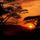 Naplemente_national_park_sunset_tanzania_1447322_7309_t