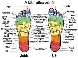 A TALP REFLEXPONTJAI 1