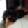 Eppen_ragok_1448258_1831_t