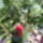 Folytontermo_elso_termese_1448891_9019_t