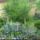 Majus_3_1448245_3695_t