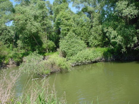 Szigetközi kirándulás 14