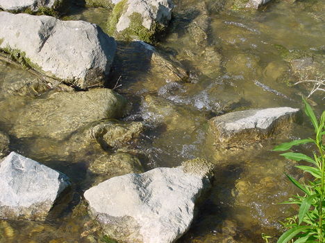 Szigetközi kirándulás 4