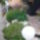 Terasz_melletti_sziklakert_1449034_8279_t