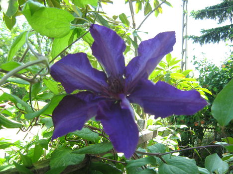 2012.05.09 004