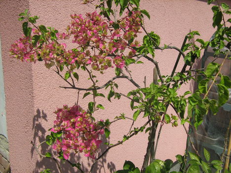 2012.05.09 008
