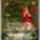 Agape_3_1440676_7206_t