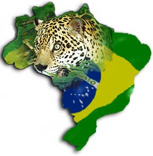 Brazília 2