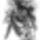 Floral-002_1404068_6206_t
