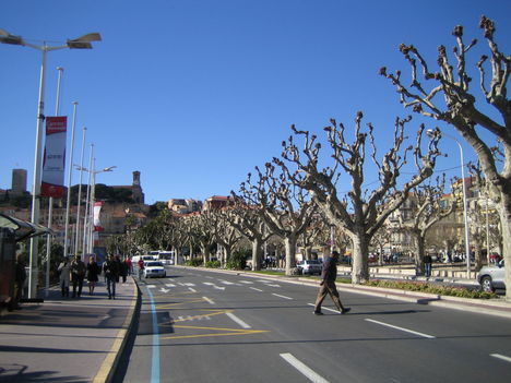 franciaország, cannes 19 Út