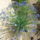 Img_20120422_113208_1440764_2528_t