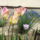 Img_20120422_113326_1440768_9700_t
